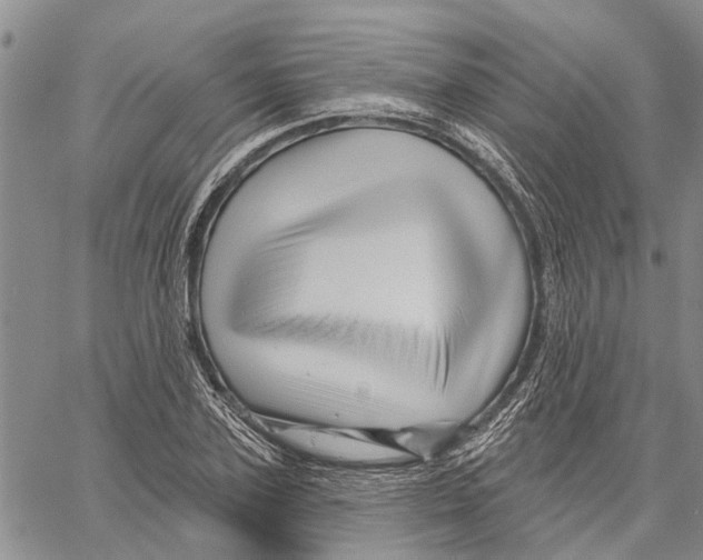 X0000060580931200512011729