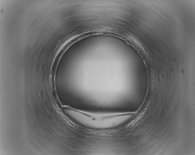 X0000060580932200512011729