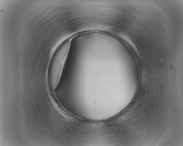 X0000060580936200512011729