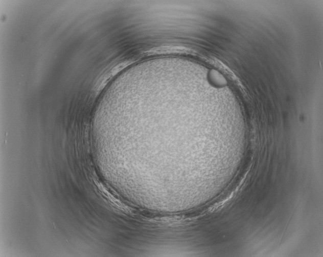 X0000060580937200512011729