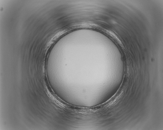 X0000060580938200512011729