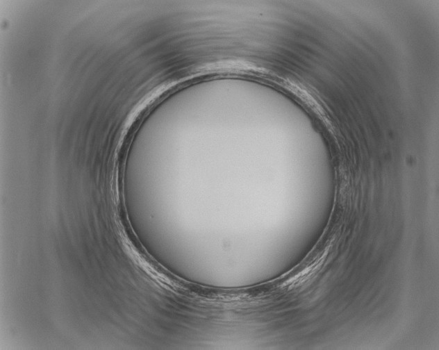 X0000060580939200512011729