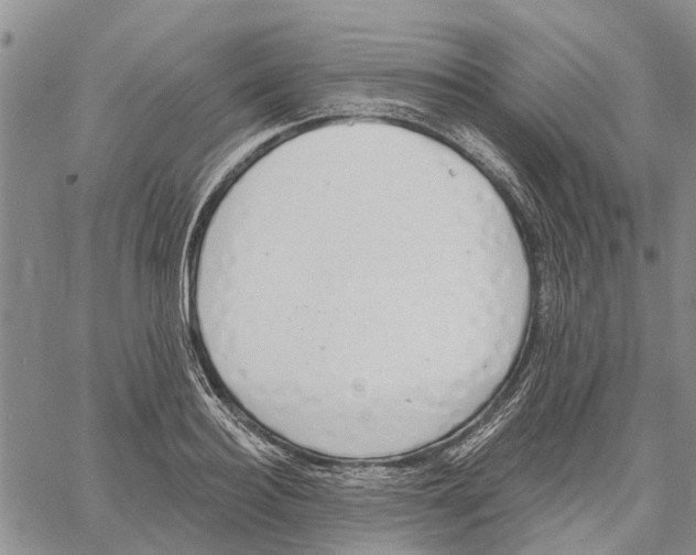 X0000060580940200512011729