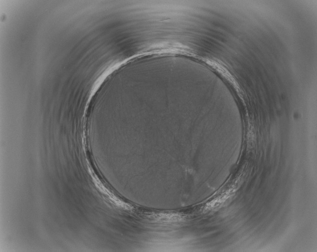 X0000060580941200512011729