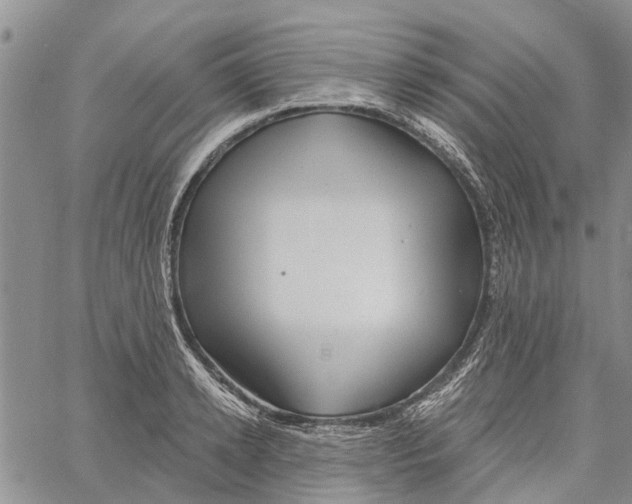 X0000060580942200512011729