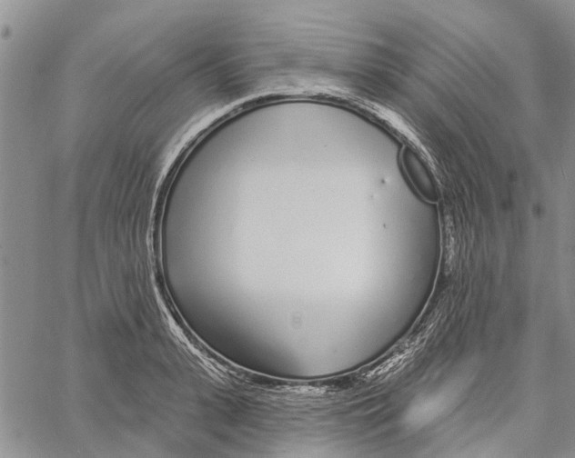 X0000060580943200512011729