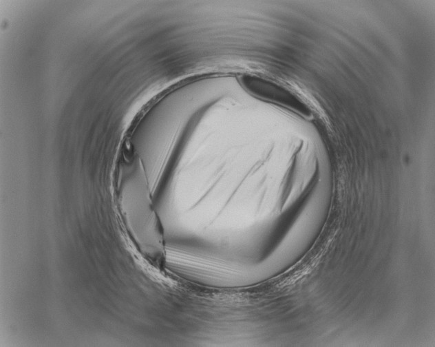 X0000060580944200512011729