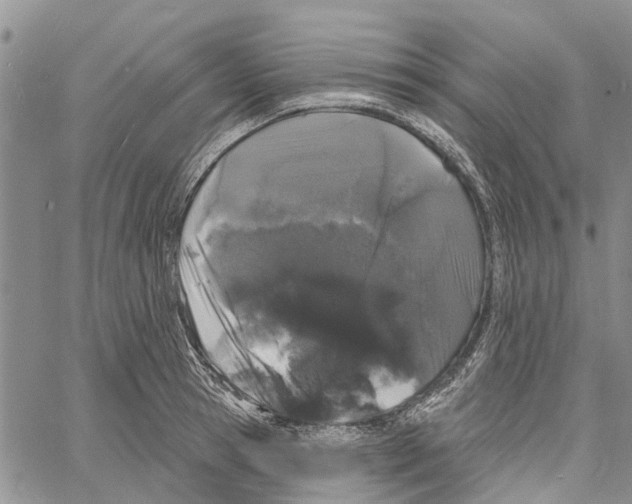 X0000060580945200512011729