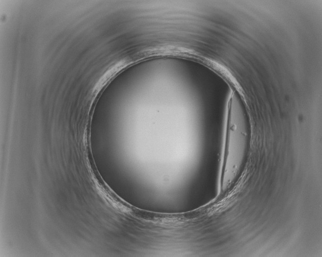 X0000060580946200512011729