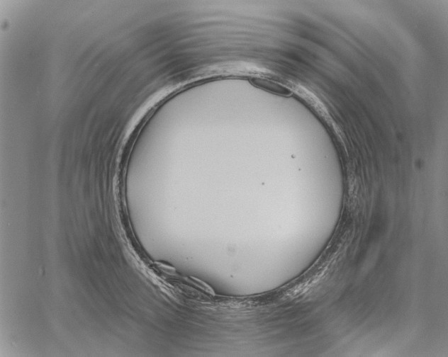 X0000060580947200512011729