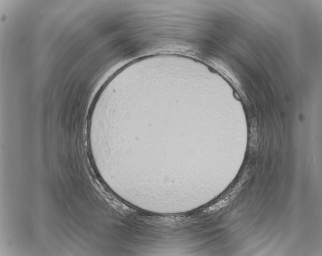 X0000060580948200512011729