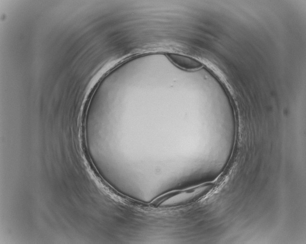 X0000060580949200512011729