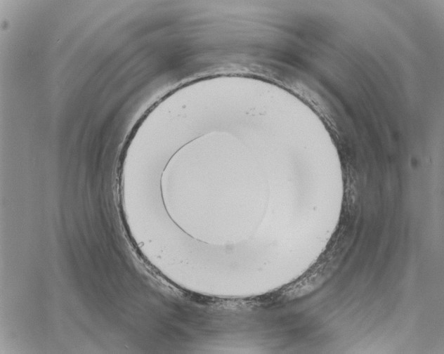 X0000060580950200512011729