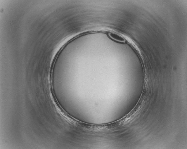 X0000060580951200512011729