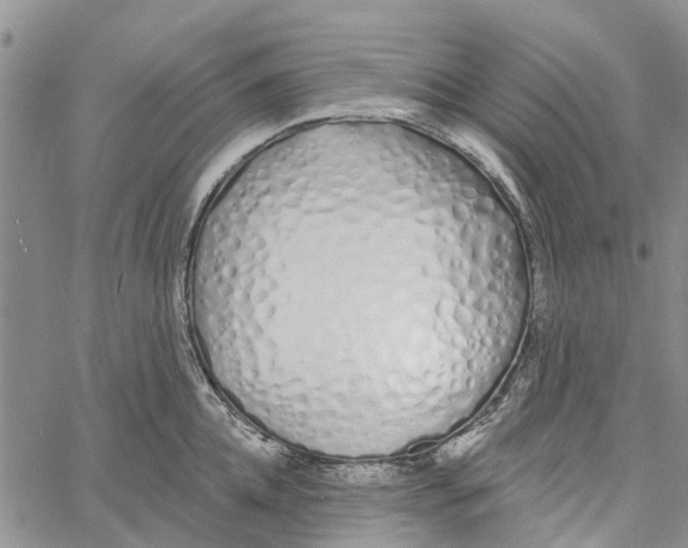 X0000060580952200512011729