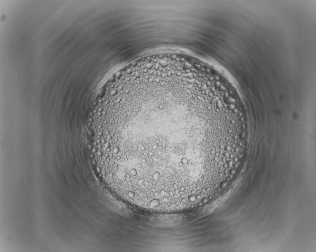 X0000060580953200512011729