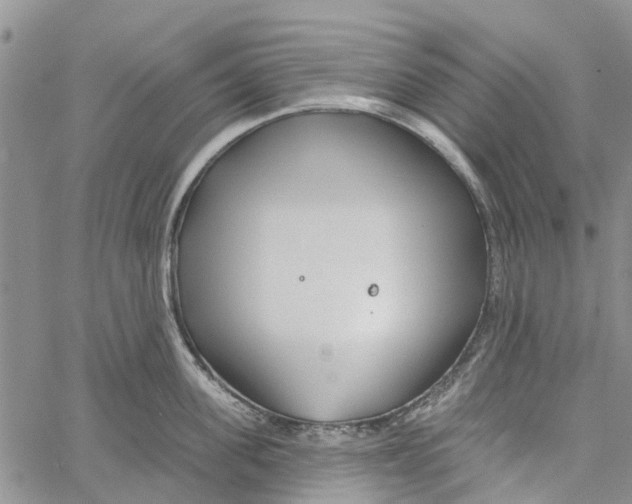 X0000060580955200512011729