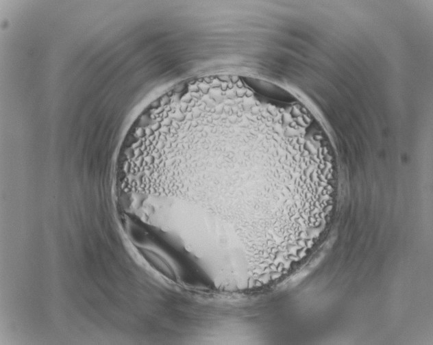 X0000060580957200512011729