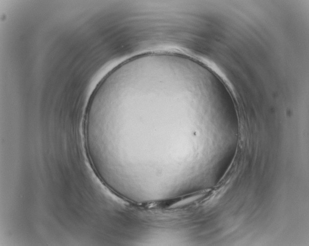 X0000060580959200512011729