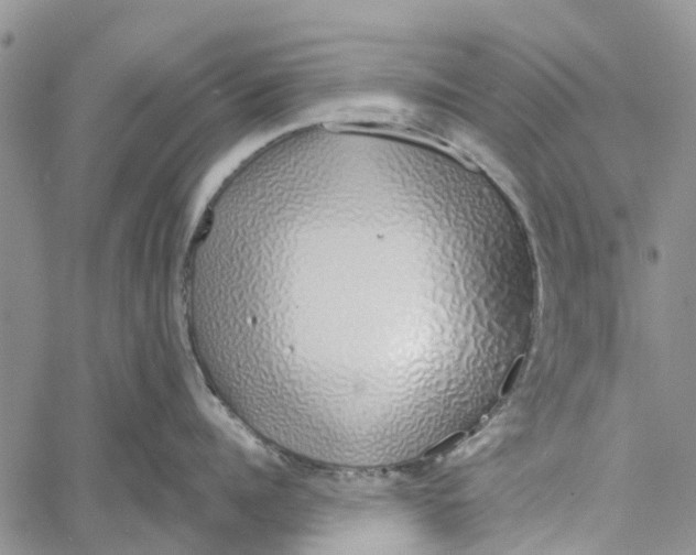 X0000060580960200512011729