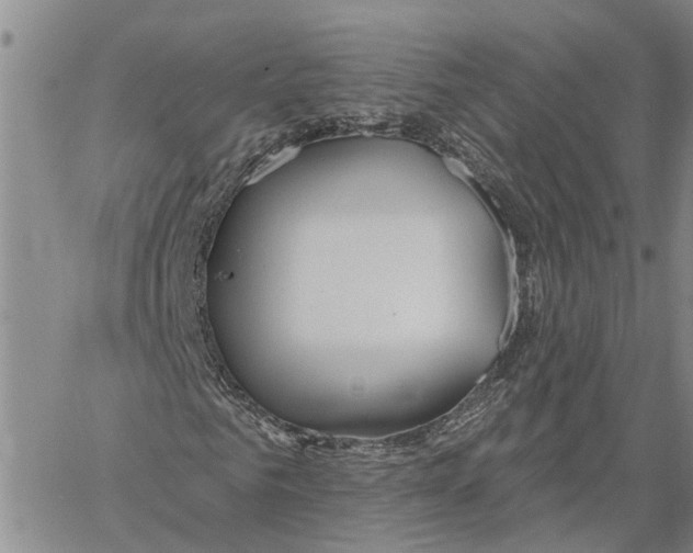 X0000060580961200512011729