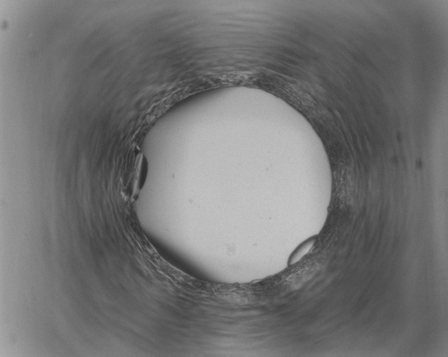 X0000060580962200512011729