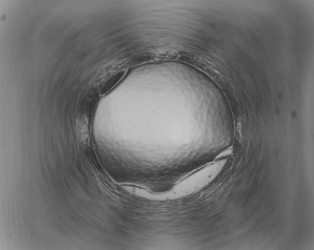 X0000060580963200512011729