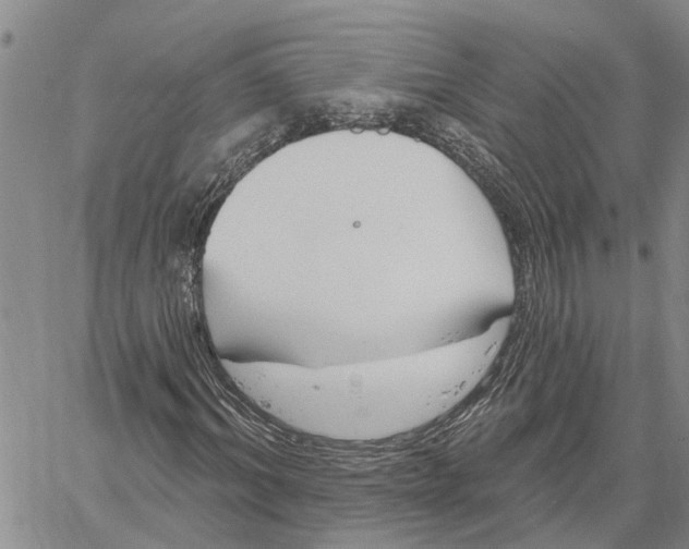 X0000060580964200512011729