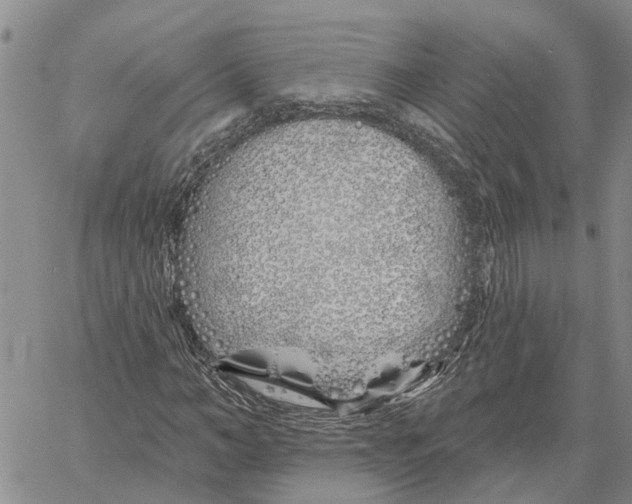 X0000060580966200512011729