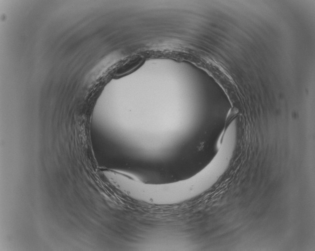 X0000060580968200512011729