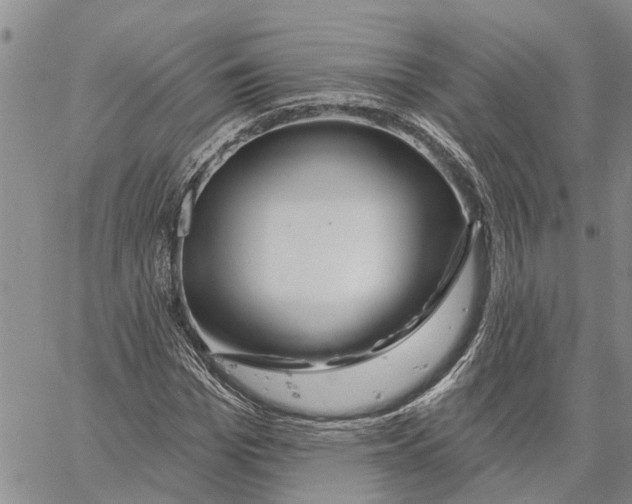 X0000060580969200512011729