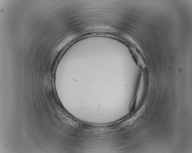 X0000060580970200512011729