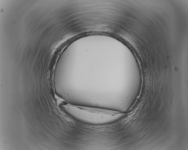 X0000060580971200512011729