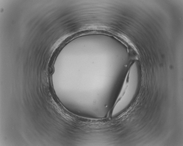 X0000060580972200512011728