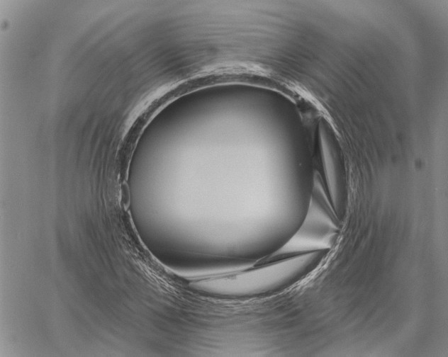 X0000060580973200512011728