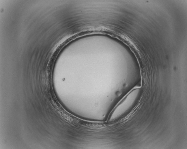 X0000060580975200512011728