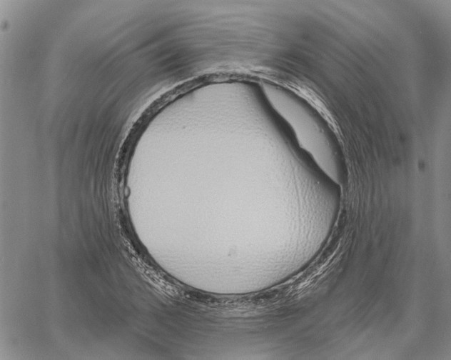 X0000060580976200512011728