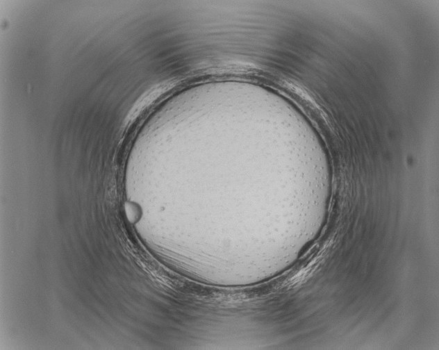 X0000060580978200512011728