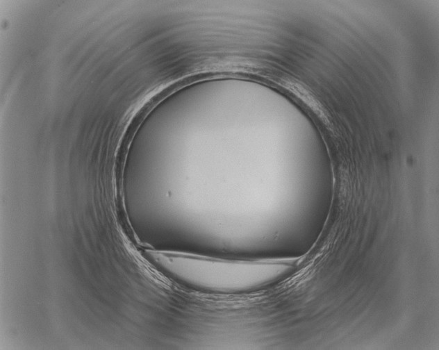 X0000060580980200512011728