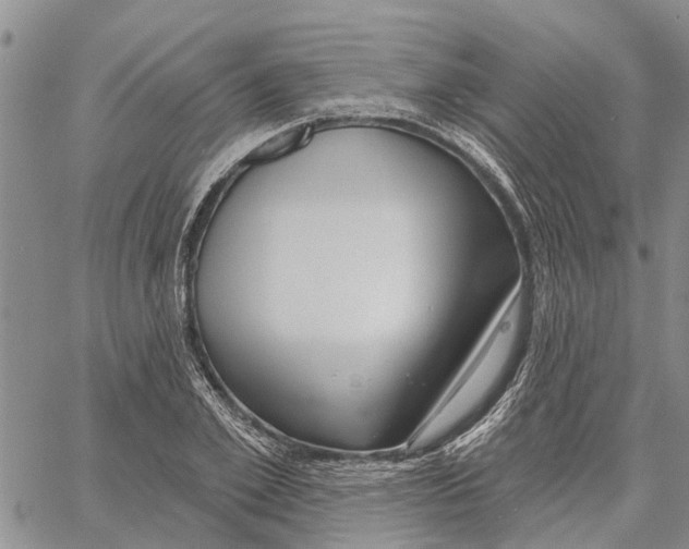 X0000060580981200512011728