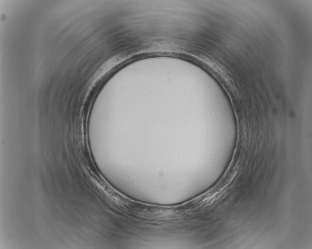 X0000060580982200512011728