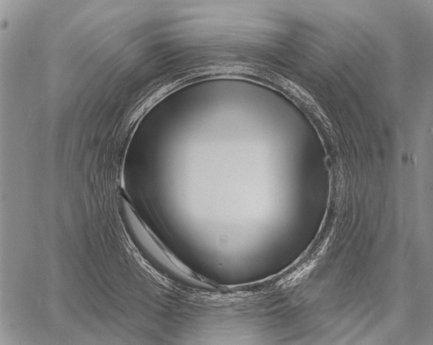 X0000060580985200512011728