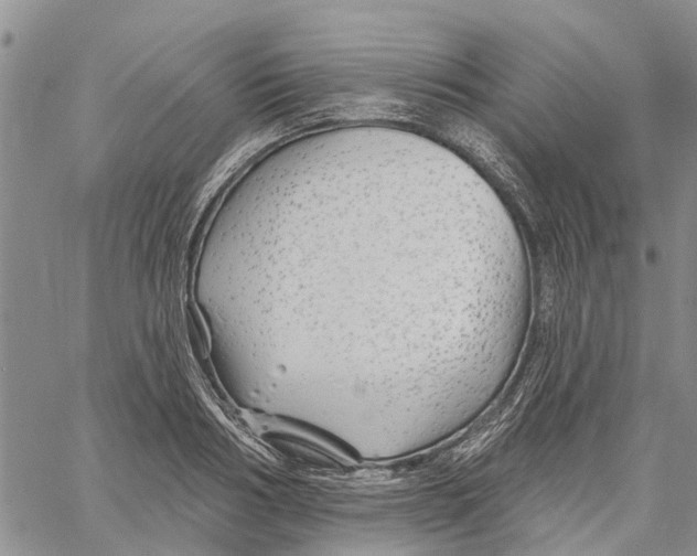 X0000060580986200512011728