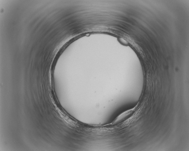 X0000060580988200512011728