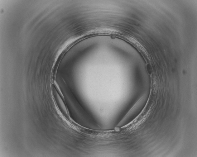 X0000060580989200512011728