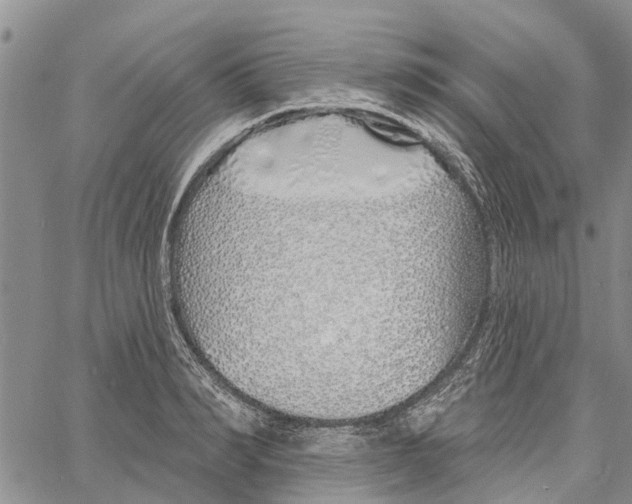 X0000060580990200512011728