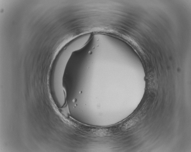 X0000060580991200512011728