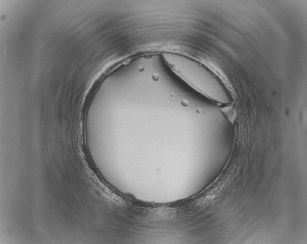 X0000060580992200512011728