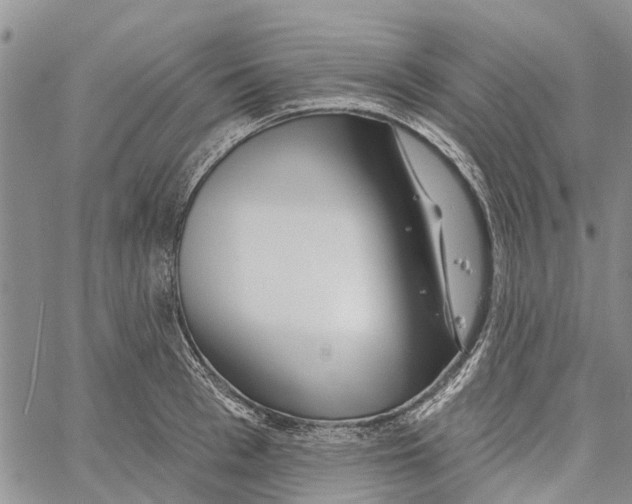 X0000060580993200512011728