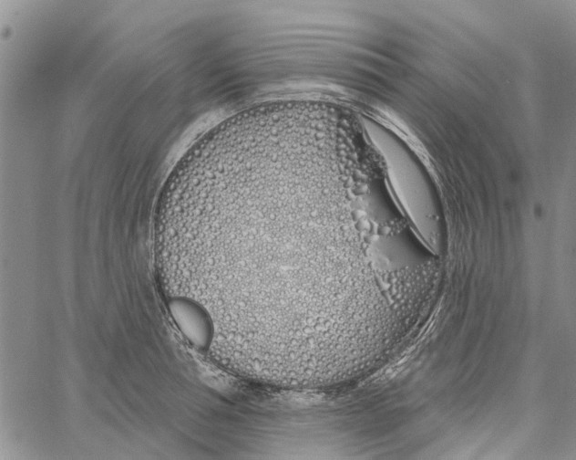 X0000060580994200512011728